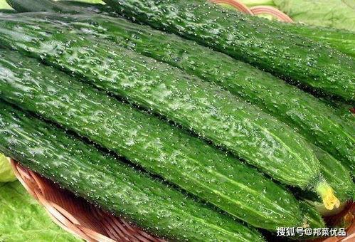 吃的绿色的瓜,探寻夏日清新美食之旅  第2张