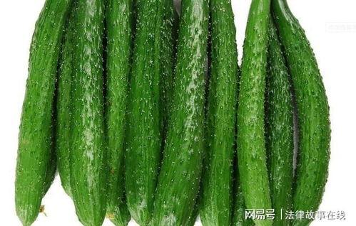 吃的绿色的瓜,探寻夏日清新美食之旅  第3张