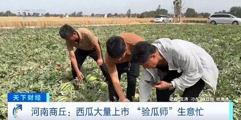 吃瓜群众ee摄影师,镜头下的光影世界  第2张