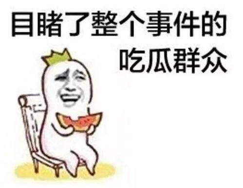 陆广寒吃瓜  第2张