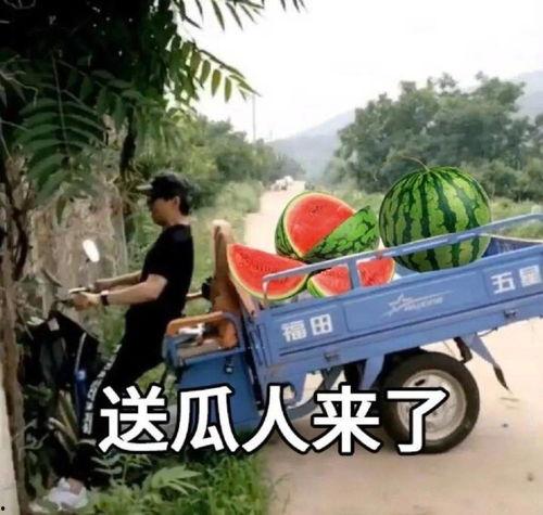暗示吃瓜文案句子搞笑,笑料横生文案大盘点  第1张