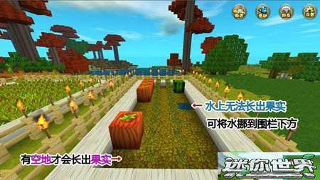 搜索迷你世界吃瓜视频  第1张