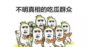 免费微信吃瓜  第1张