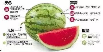 免费微信吃瓜  第3张