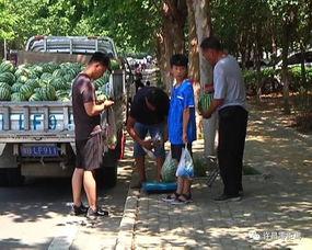临县吃瓜群众,揭秘当地生活百态  第3张