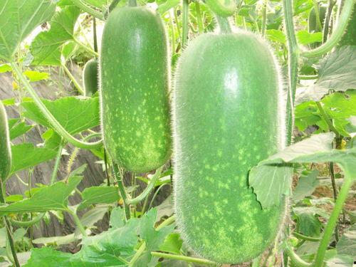 韩婧个网站云兰吃瓜,揭秘韩婧个网站背后的热点事件