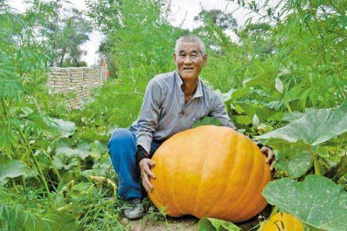 吃瓜后胃疼恶心,警惕夏日饮食陷阱
