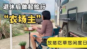 荷兰猪可以吃哈密瓜吗,荷兰猪适宜食用哈密瓜的探索
