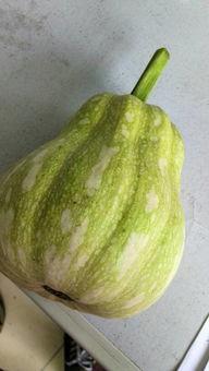 看瓜吃瓜读音是什么,网络时代的趣味与思考