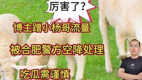 群众吃瓜怎么处理,吃瓜群众如何理性看待社会热点事件