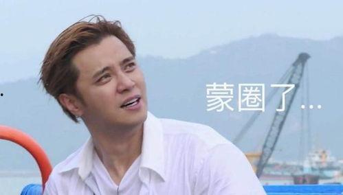 罗志祥吃瓜感悟,娱乐圈真相与自我反思