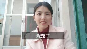 佩佩吃瓜,揭秘娱乐圈的“瓜田”趣事