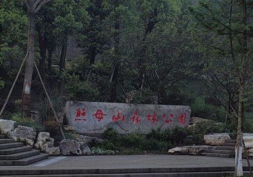 吃瓜森林公园,瓜果飘香，绿意盎然的人间仙境