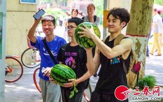 学校吃瓜bgm,吃瓜bgm下的青春旋律