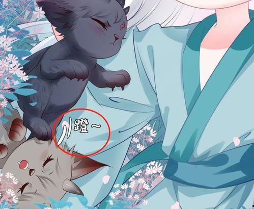 吃瓜饕餮,揭秘娱乐圈的甜蜜与苦涩