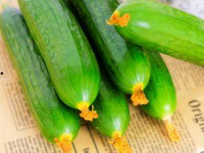 孕妇吃久红瓜,营养与安全探讨