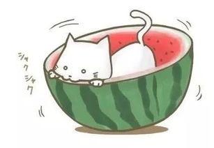 中国球吃瓜,揭秘球吃瓜背后的故事