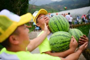翻跳校园吃瓜,翻跳吃瓜，揭秘校园美食圈