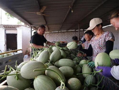 认亲路上吃瓜去,吃瓜群众欢乐多