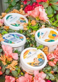 吃瓜冰激淋,吃瓜冰激淋，甜蜜与清凉的完美邂逅