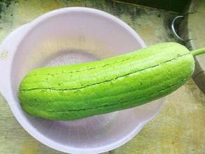 李子能不能跟水瓜一起吃,李子与水瓜相克？揭秘两者同食的真相