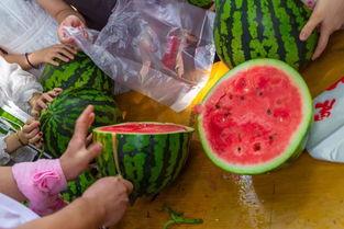 各类吃瓜视频,揭秘热门吃瓜视频背后的故事