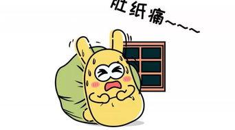 吃瓜租客后续,揭秘都市租房生活的酸甜苦辣