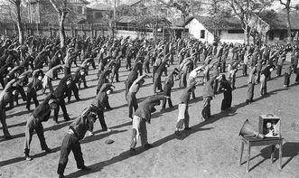 广播体操吃瓜,揭秘健身潮流背后的趣味与思考