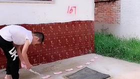 吃瓜系统现实版