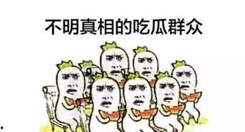 吃瓜词语,吃瓜群众视角下的娱乐圈风云录