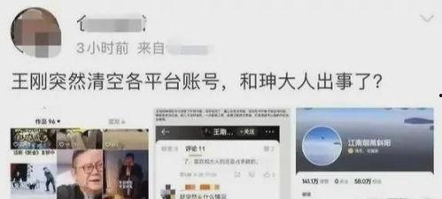 吃瓜群众王刚,揭秘娱乐圈幕后故事